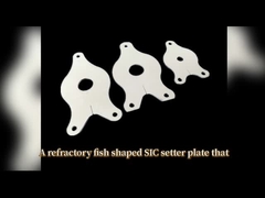 식기 가구 합금용 불화성 실리콘 탄화물 생선 세터 플레이트